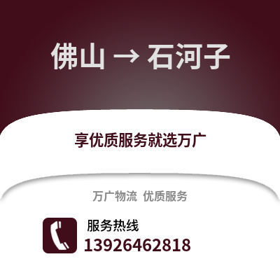 佛山到石河子物流專線_佛山到石河子貨運(yùn)專線公司