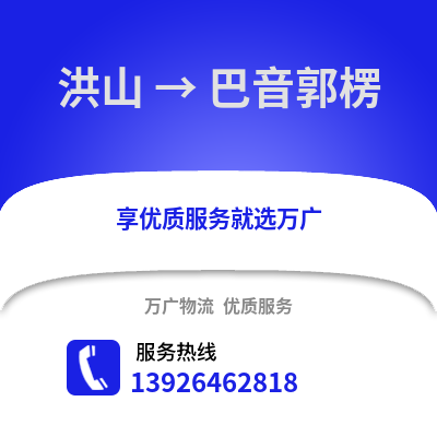 武漢洪山到巴音郭楞物流專線_武漢洪山到巴音郭楞貨運(yùn)專線公司