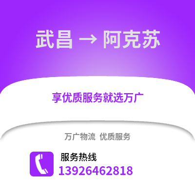 武漢武昌到阿克蘇物流專線_武漢武昌到阿克蘇貨運專線公司
