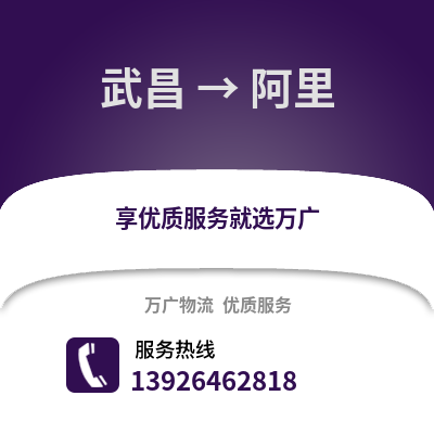 武漢武昌到阿里物流專線_武漢武昌到阿里貨運(yùn)專線公司