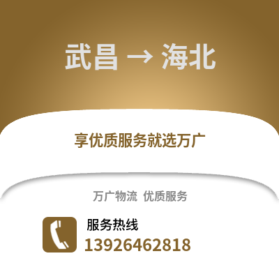 武漢武昌到海北物流專線_武漢武昌到海北貨運(yùn)專線公司