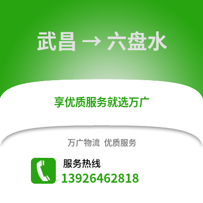 武漢武昌到六盤水物流專線_武漢武昌到六盤水貨運專線公司