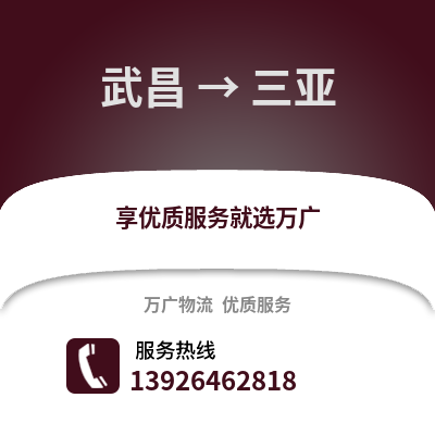 武漢武昌到三亞物流專線_武漢武昌到三亞貨運(yùn)專線公司